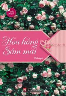 Hoa Hồng Sớm Mai