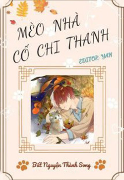 Mèo Nhà Cố Chi Thanh