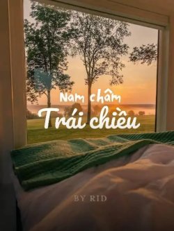 Nam Châm Trái Chiều đọc online