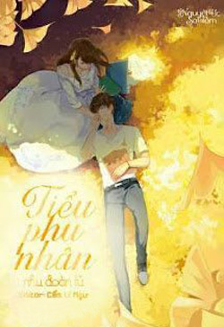 Tiểu Phu Nhân đọc online