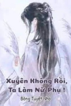 Xuyên Không Rồi, Ta Làm Nữ Phụ!